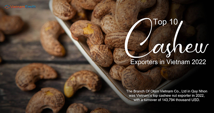 Top 10 cashew exporters in Vietnam 2022